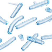 RESTORE: Lactobacillus Ferment(The Game-Changer)