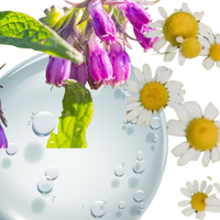 REPAIR: Hyaluronic Acid +Bisabolol + Allantoin